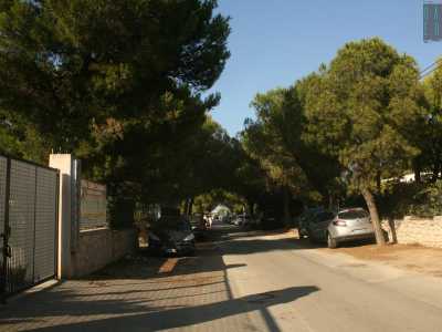 Svoltiamo a sinistra in un viale alberato e superate alcune ville...